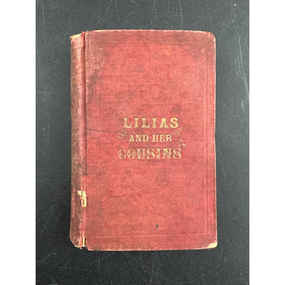 Lilias and Her Cousins 1860 Antique Book Planter Life in‎ the Old Dominion Red